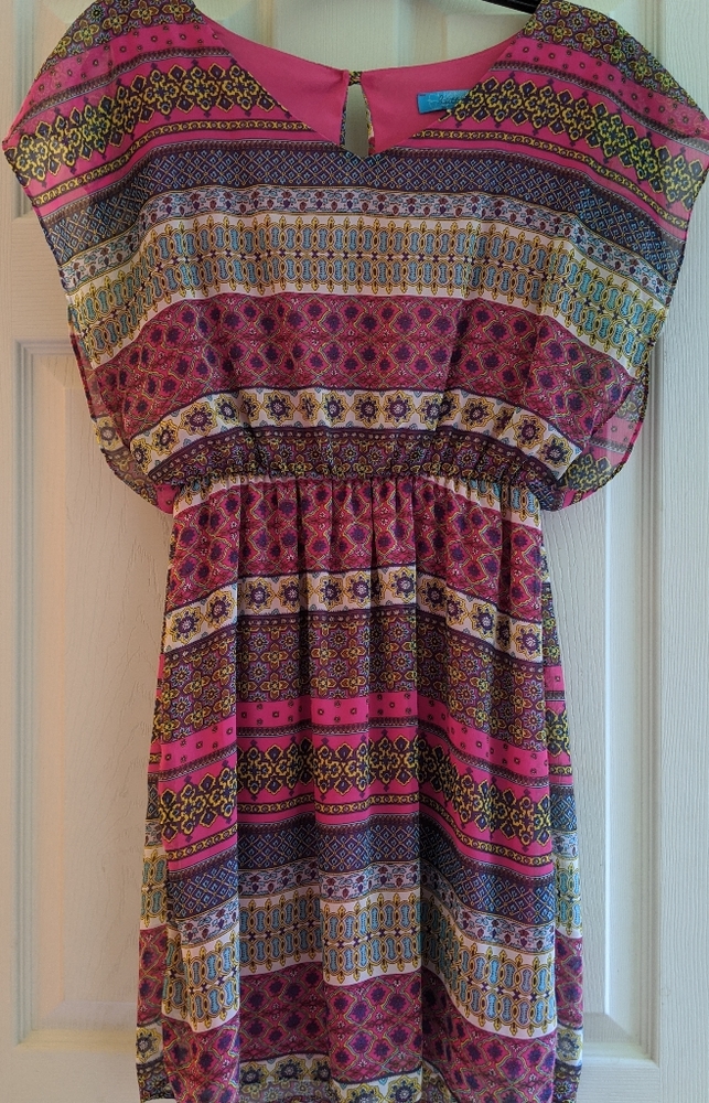 Francesca's Buttons dress